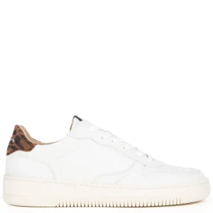 Women Bobbies Sneakers | Scott
