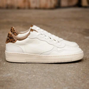 Women Bobbies Sneakers | Scott